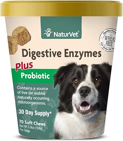 Amazon Com Naturvet Digestive Enzymes For Dogs Plus naturvet digestive enzymes for dogs plus prebiotics probiotics helps support diet change a healthy digestive tract for dogs cats