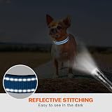 Taglory Reflective Nylon Dog Collar with Safety Buckle XS Sky Blue view 5
