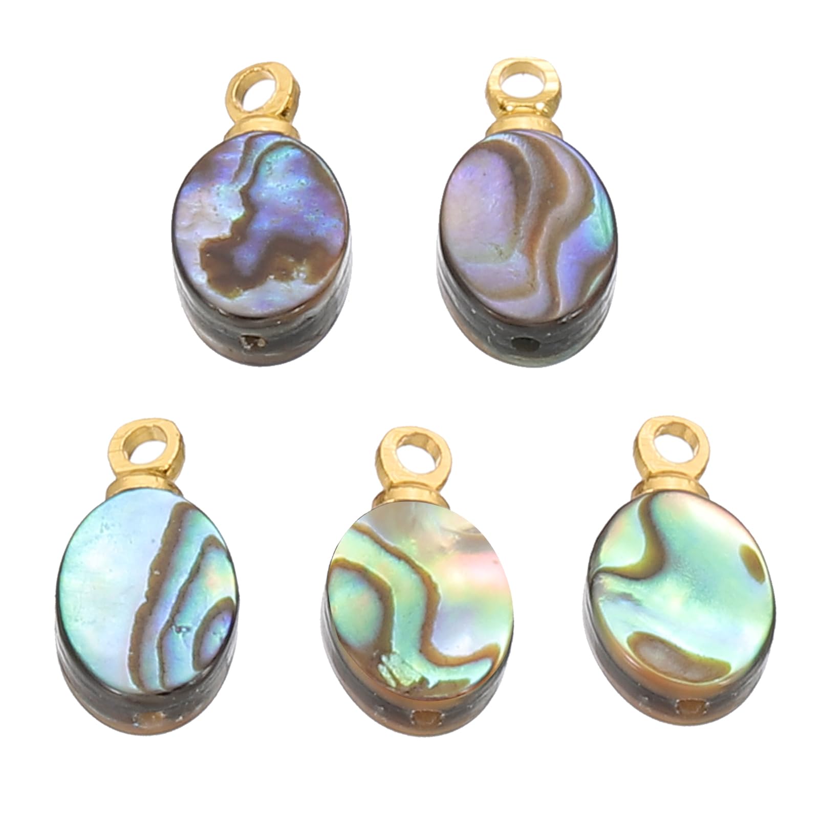 PATIKIL Abalone Shell Charm, 5 Pcs Oval Paua Shell Pendant 13mm Sea Abalone Shell Decorations for Necklace DIY Ocean Jewelry Making, Mix Colors