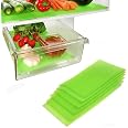 Amazon.com - Dualplex Fruit & Veggie Life Extender Liner for Fridge ...