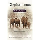 Elephantoms: Tracking the Elephant