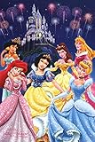 Disney Princess Poster 24 x 36in