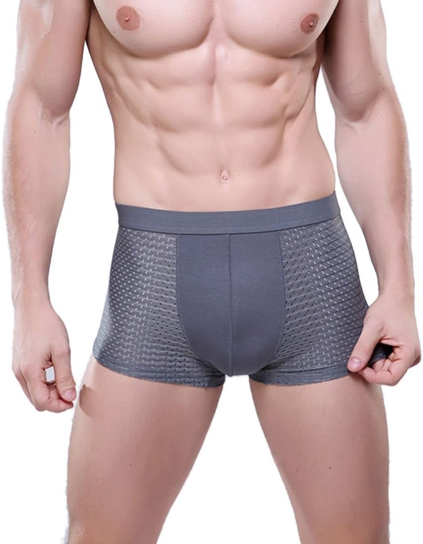 HP95(TM Men's Boxers Briefs, Mesh Ultra-Thin Breathable Soft Underwear Briefs (XXXL, B)