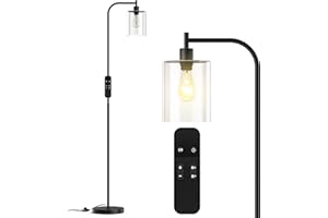 PAZZO LED Floor Lamp, Industrial Standing Lamp with Glass Lampshade, Ideal for Living Room, Bedroom, and Office, Matte Black Finish (Includes Remote Control)
