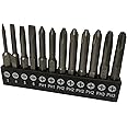 aiyun 12 Piece Slotted Phillips Screwdriver Bits for Drill, 1/4 Inch Hex Shank Magnetic Drill Bit Set S2 Steel 2 Inch Long Drill Screwdriver Bit Set (2 Inch)