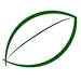 The Herbs Grower Handbook