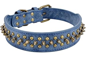 Aolove Mushrooms Spiked Rivet Studded Adjustable Pu Leather Pet Collars for Cats Puppy Dogs (17.0''-22'' Neck, A Blue)