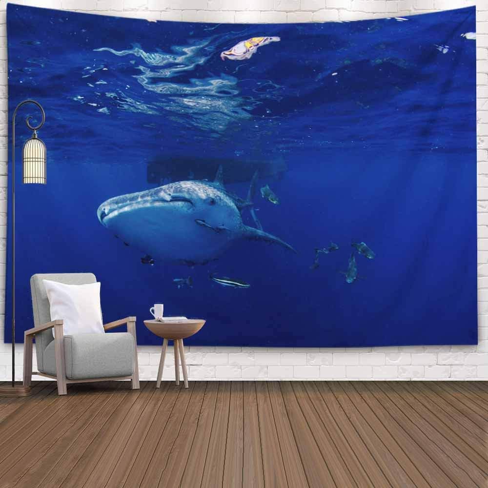 KIOAO Tapestry Wall Art Dorm Tapestry,Tapestry for Women College Tapestry Whale Shark Typus Dorm Room Tapestry 80X60Inch Tapestry for Man