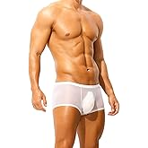 PAOBUYI Silk Boxers for Men See Through Underwear Mens Sheer Boxer Briefs Bulge Pouch Soft Short