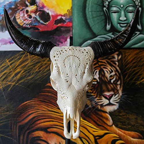 25'' Real Cow Skull with Horns & Carving - Made by SkullBliss