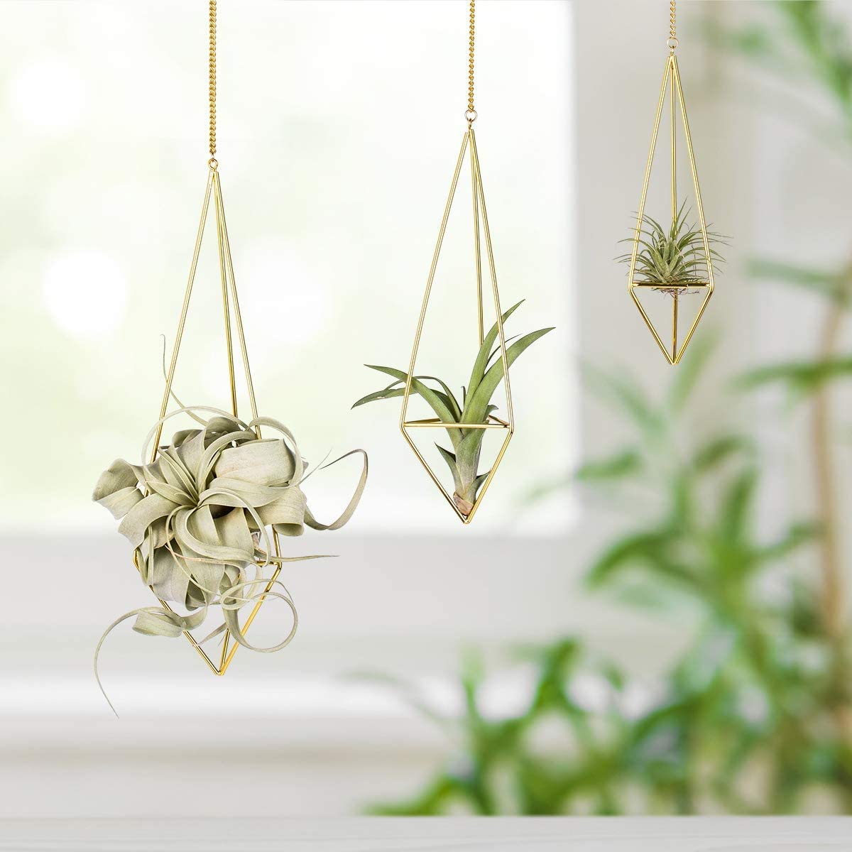 Ecosides Set of 3 Hanging Air Plants Holders Mixed Sizes(3PCS), Gold