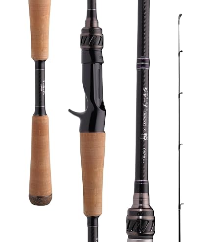 Amazon.com: PURELURE Realm Medium Heavy Fishing Rod 6'10'', Fast