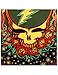 Sunshine Joy Grateful Dead 3D Steal Your Face Scarlet Fire Tapestry Tablecloth Wall Art Beach Sheet Huge 60x90 Inches - Amazing 3D Effects,Multi