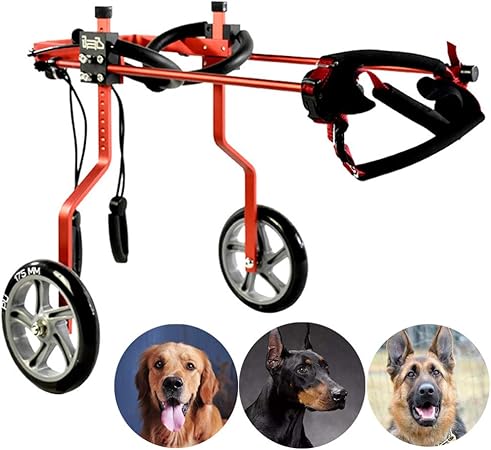 silla de ruedas para perros amazon