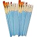 BOSOBO Paint Brushes Set, 2 Pack 20 Pcs Round Pointed Tip Paintbrushes Nylon Hair Artist Acrylic Paint Brushes for Acrylic Oil Watercolor, Face Nail Art, Miniature Detailing & Rock Painting, Blue
