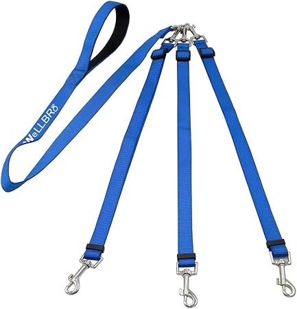 3 in 1 dog lead