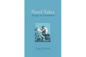 Novel Takes: Essays on Literature