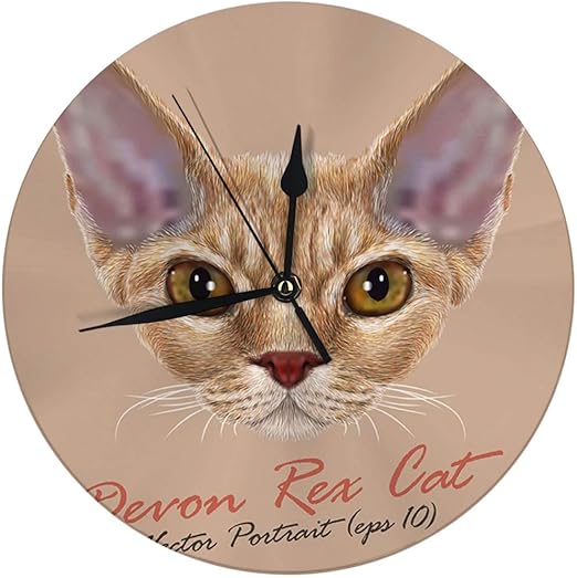 orange devon rex