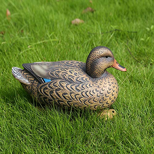 image for Tfwadmx Duck Decoys Realistic Plastic Mallard Hunting Green and Brown