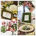 Byher Dried Moss Mat for Wedding Birthday Party Fairy Garden Decorations, Dark Green (14