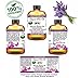Lavender Essential Oil 4 oz 100% Pure Natural OrganicTherapeutic Undiluted Steam Distilled Top Grade A For Baby Hair Bath Candle Perfume Sleep Lavender oil By Organic Pure Oil