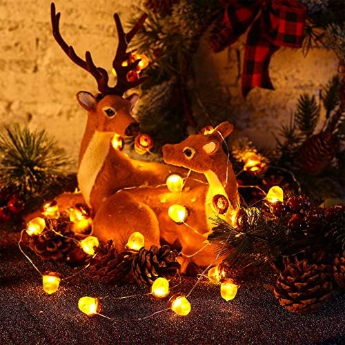 Battery-operated acorn string lights with a remote control, fall-themed decoration.