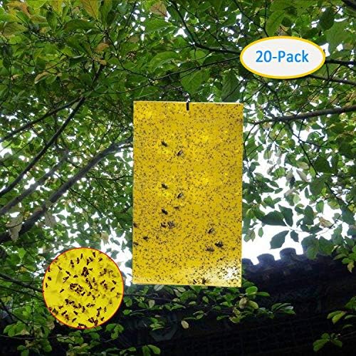 Garsum 20-Pack Dual-Sided Yellow Sticky Traps for Flying Plant Insect Like Fungus Gnats, Aphids, Whiteflies, Leafminers - （6X8 Inch,Wire ties included）