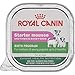 Royal Canin Canine Health Nutrition Starter Mousse Tray Dog Food, 3.5 oz (Pack of 24)