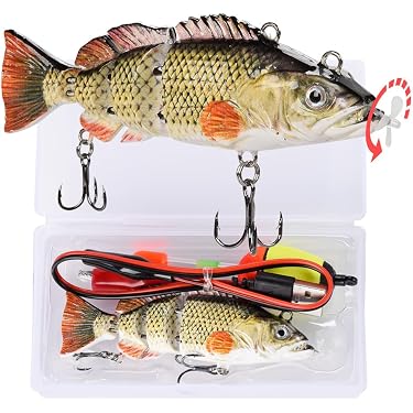 Amazon Best Sellers: Best Fishing Plugs