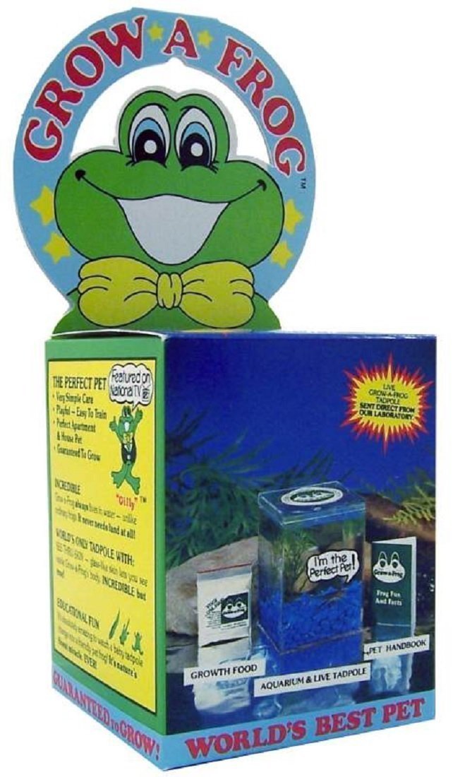 Amazon Com Three Rivers Amphibian Grow A Frog Kit Industrial Scientific