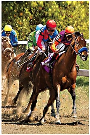 Decorative Custom Flag Horse Racing Photo Printed Outdoors Flags Of Double Sided Waterproof And Fade Resistant Printed banners 12.5 X 18 Inch 100% Polyester