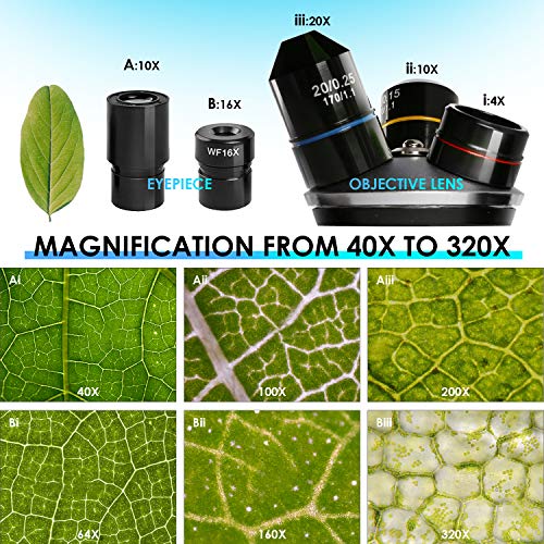 TELMU Inverted Microscope 40X-320X, Live Cell Observation + Slice Observation | 15 Slides + Smartphone Adapter + Other Free Kits, Scientific Research for Students, Kids and Beginner in School or Lab