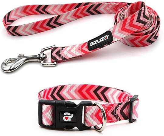 fun dog collars and leashes