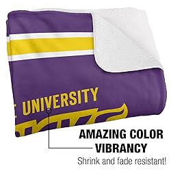 Minnesota State University Mankato