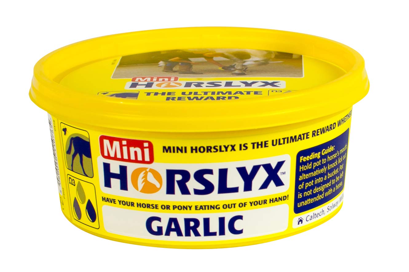 Horslyx MINI LICKS 12 PACK, clear
