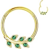 CHARMONLINE 16G 316L Stainless Steel Earring Hoop Cluster CZ Hinged Segment Clicker Daith 8/10mm Inside Diameter Clicker Helix Ear Piercings for Women Men