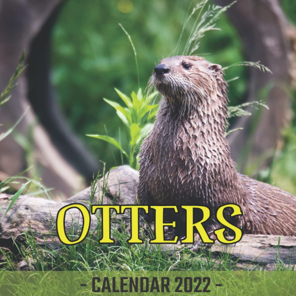 Otters Calendar 2022: 12-Month Calendar, Otter Lovers Calendar With A Picture For Every Month, Desk Office Calendar Organizer, Cute Gift Idea For ... Women And Men, Awesome Calendar Publishing: Art Space, Safia: