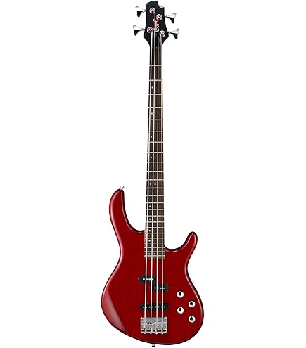 Amazon.com: Cort Artisan Series B4 Element Bass Guitar, Open Pore