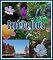 Livro Cenário e flores