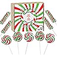 Christmas Candy Lollipops - 24 Holiday Suckers Individually Wrapped Bulk - 18g Swirl and 12g Twisty Pops