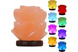 FANHAO Himalayan Salt Lamp with 8 Colors Changing, USB Flower-Shaped Night Light Salt Crystal Lamps for Home Décor Holiday Gifts, LED Bulb + Real Wood Base