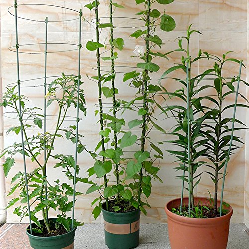 Yunhigh Plant Support Rings, Garden Plant Support for Potted Plants Climbing Winding Sturdy Tomato Cucumber Plant Cage Trellis