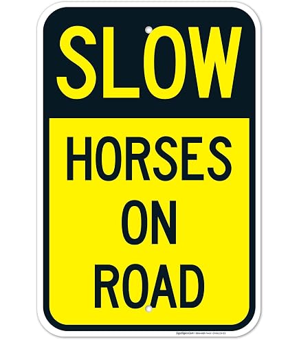 Blechschild „Horse Please Slow Down“ – 20x30 Cm, Metall, Für Innen & Außen