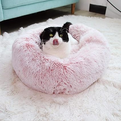 Vivi Bear Coussin Pour Chien Coussin Pour Chat Extra Doux Confortable Et Mignoncoussin Pour Lit De Chat Lavableconvient Aux Chats Et Aux Petits