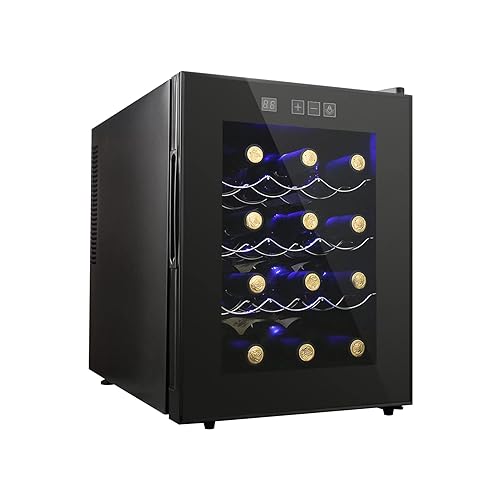 12 Bottle Wine Cooler Refrigerator, Compact Mini Wine Fridge with