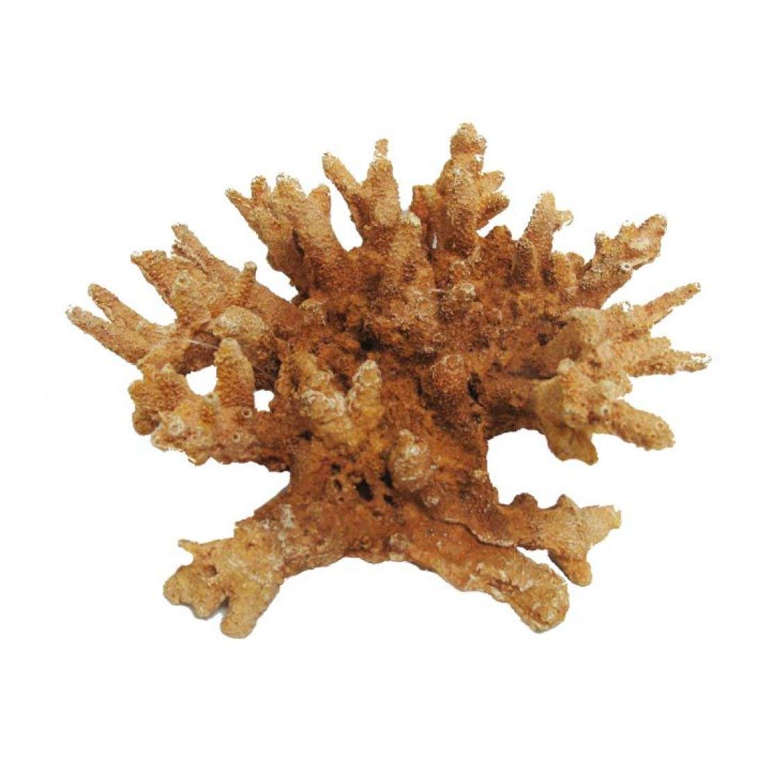 CLASSIC Pet Products Coral 185Mm Aquarium Ornament