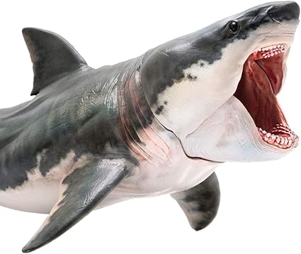 Qrfdian Requin Geant Statue De Barton Paleontologie Sculpture Bouche Mobile Amazon Fr Cuisine Maison