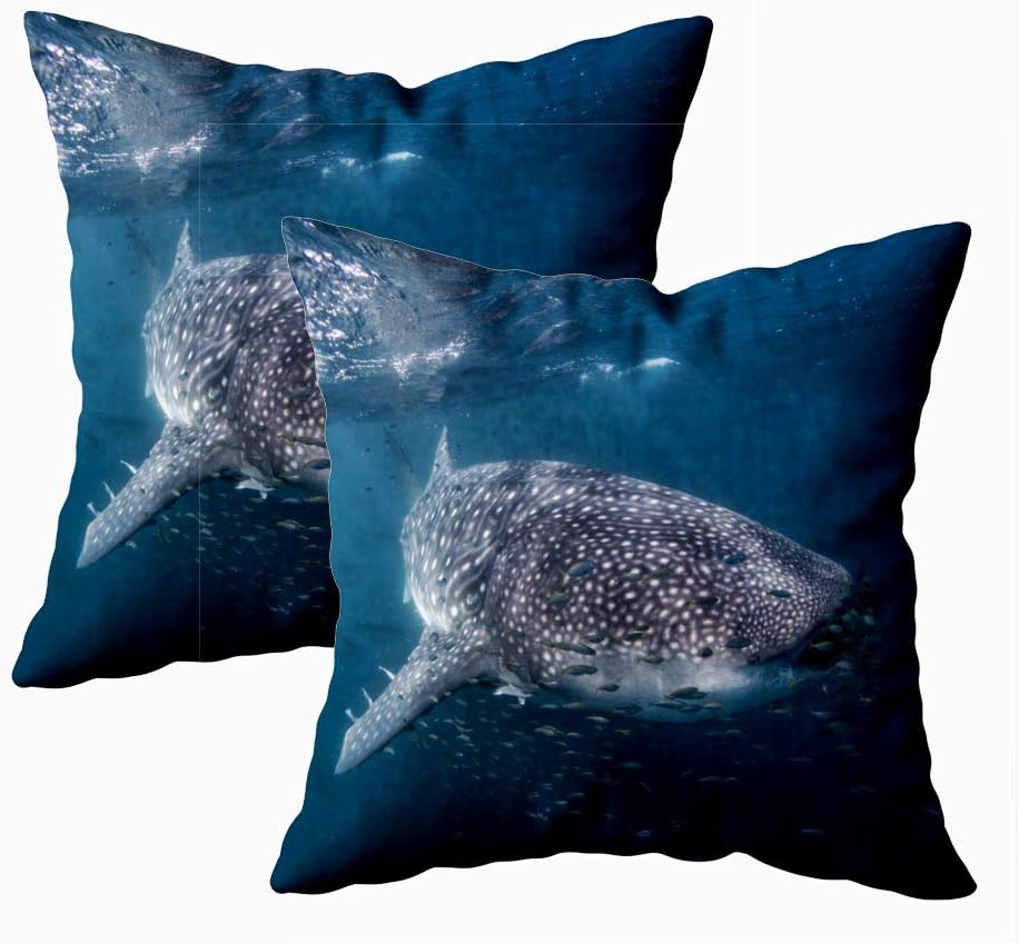 Musesh Comfort Pillow Cover, Pack of 2 Pillow Cases,Seasonal Whale Shark Feeding Western Australia 18X18Inch Decorative Pillowcases for Boys Girls