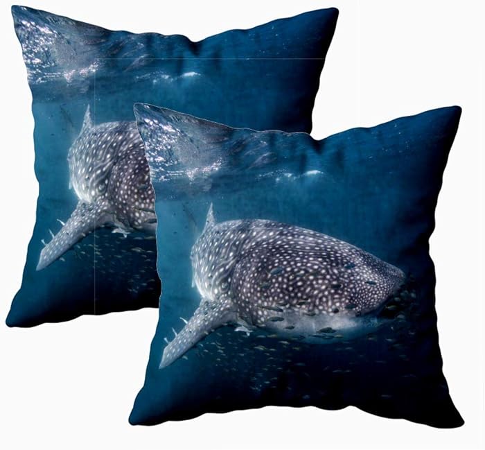Musesh Comfort Pillow Cover, Pack of 2 Pillow Cases,Seasonal Whale Shark Feeding Western Australia 18X18Inch Decorative Pillowcases for Boys Girls