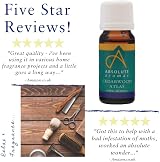Absolute Aromas Cedarwood Essential Oil 10ml Pure Atlas Cedarwood view 4